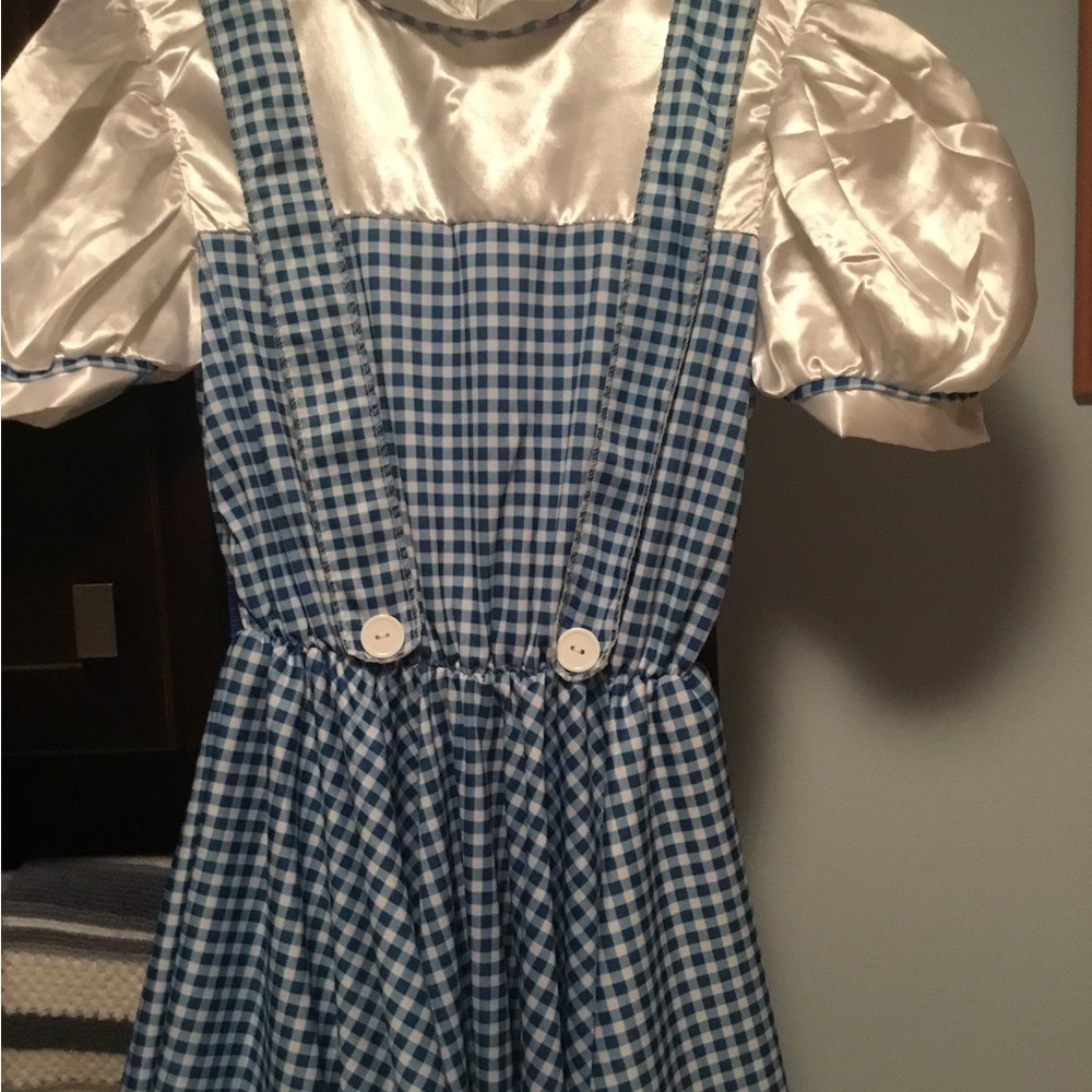 Rubie's Wizard of Oz Dorothy Costume